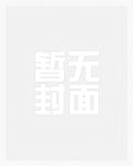 乱韵人生录